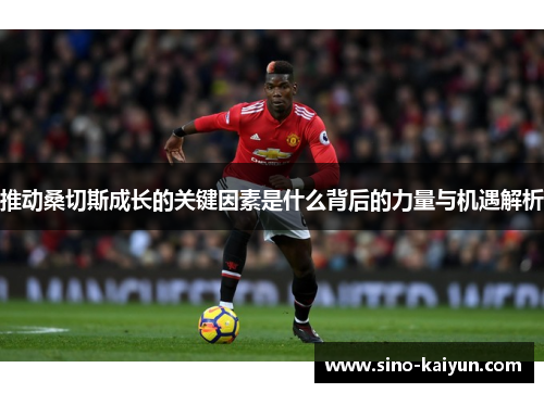 推动桑切斯成长的关键因素是什么背后的力量与机遇解析 推动桑切斯成长的关键因素是什么背后的力量与机遇解析