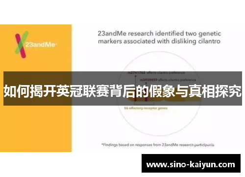 如何揭开英冠联赛背后的假象与真相探究