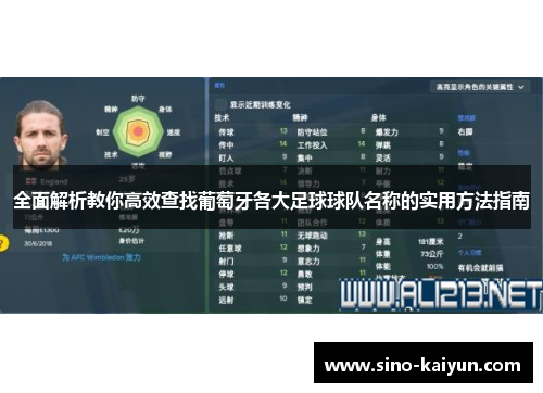 全面解析教你高效查找葡萄牙各大足球球队名称的实用方法指南
