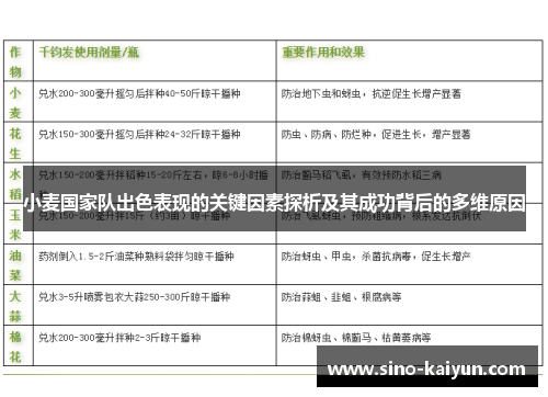 小麦国家队出色表现的关键因素探析及其成功背后的多维原因