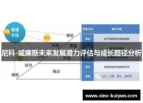 尼科-威廉斯未来发展潜力评估与成长路径分析