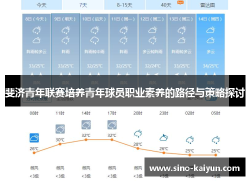 斐济青年联赛培养青年球员职业素养的路径与策略探讨