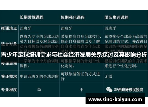 青少年足球培训需求与社会经济发展关系探讨及其影响分析