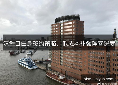 汉堡自由身签约策略,低成本补强阵容深度 汉堡自由身签约策略,低成本补强阵容深度